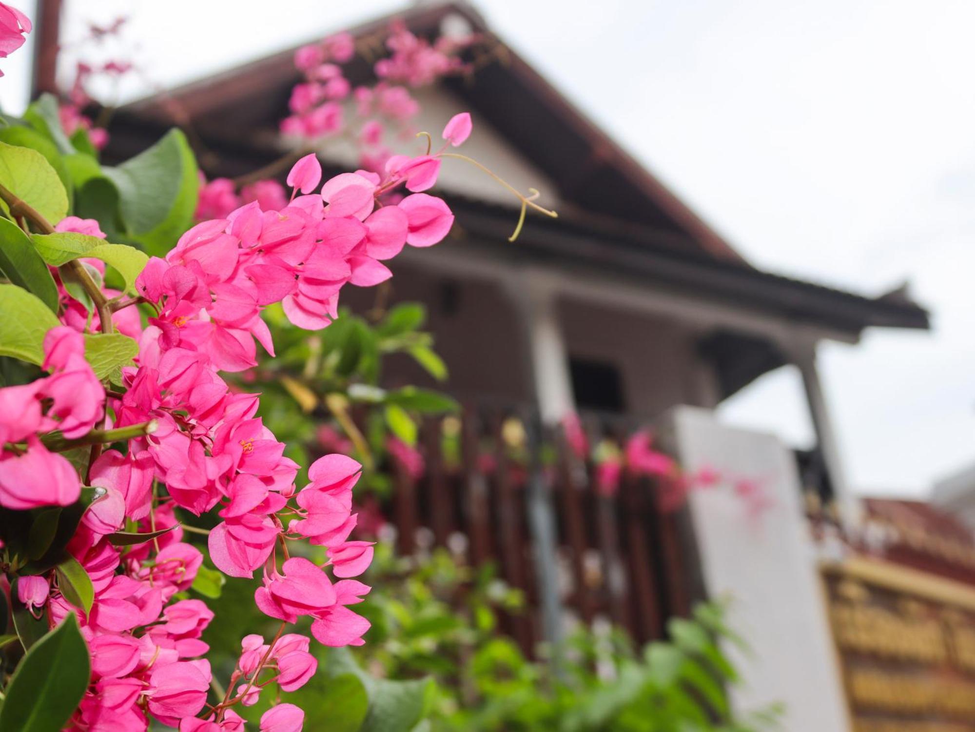 Nirasim Villa Luang Prabang Eksteriør billede